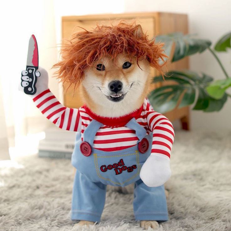 Fantasia de Carnaval para Cachorro Dog Chucky