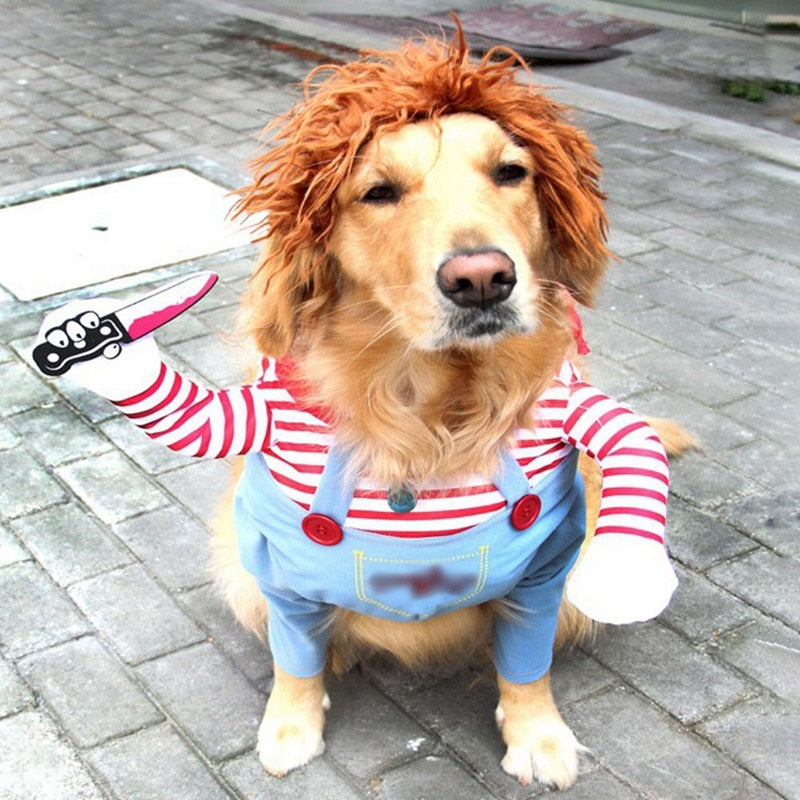 Fantasia de Carnaval para Cachorro Dog Chucky